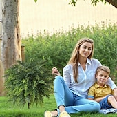 お買い得  人工植物と緑-人工杉の木、高さ20.9インチの人工緑葉、地面に差し込むスパイク付き、リアルな屋内/屋外のホームデコレーション、プランターや庭の装飾、使いやすい床飾り