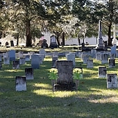 economico Fiore finti-2/4 vasi da cimitero con punte per il giorno della memoria, paletti da giardino pasquali da esterno, decorazioni per lapidi a tema casa, esposizione di piante stagionali, decorazione del cimitero