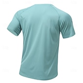 abordables Camisetas casuales de hombre-Hombre Camiseta Camisa manga corta Camiseta superior Manga Corta Cuello Barco Verano Primavera Color sólido Ropa de calle Elegante Básico Secado rápido Delgado Diario Exterior Vacaciones Café