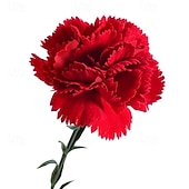 baratos Flor artificial-10 ramos de cravos artificiais, flores vermelhas de seda para casamento, decoração de casa, Dia dos Professores, Dia das Mães, presentes e festas. &amp;arranjos florais