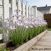 baratos Flor artificial-Conjunto de 7 flores artificiais para exterior e plantas bulbosas, réplicas em plástico de margaridas africanas e plantas rasteiras bulbosas, flores artificiais realistas de grama-cebola, adequadas