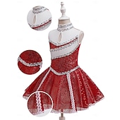 ieftine Costume pentru copii-Îmbrăcăminte sportivă Costum de prințesă Cosplay Îmbrăcați-vă Paiete Pentru copii Fete Mascaradă Săptămâna Cărții Petrecere Zilnice Festival Îmbrăcați-vă