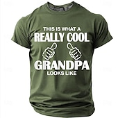 economico Magliette divertenti da uomo-Ecco come appare un nonno davvero fantastico. Maglietta da uomo con stampa divertente e spiritosa, maniche corte, girocollo, casual, regalo, abbigliamento firmato, taglie S, M, L, XL, XXL.