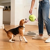 economico Giocattoli per cani-Pallone galleggiante per cani con cinghie