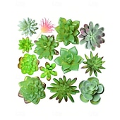 economico Piante e Verde Artificiale-Piante grasse artificiali, eleganti decorazioni finte in vaso per scrivania e davanzale, composizioni realistiche di piante grasse senza vaso per casa, ufficio e centrotavola.