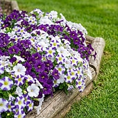 abordables Flores artificiales-30 flores artificiales con margaritas en degradado de tres colores, perfectas para la decoración de jardines exteriores en primavera. &amp;Decoración de temporada de verano, apta para uso