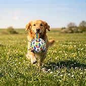 billiga Hundleksaker-Hundfotboll med remmar interaktiv leksak 18 cm i diameter
