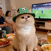 Недорогие Праздник-шапка для питомца с футбольным рисунком