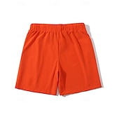 economico Pantaloncini casual-Per uomo Shorts sportivi Shorts Pantaloncini Estivi Shorts da Spiaggia Pantaloncini casual Tasca Elastico in vita Semplice Comodità Traspirante Lunghezza al ginocchio All'aperto Spiaggia Vacanza