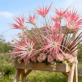 お買い得  造花-紫色の造花（模造品）6個 &amp;春にぴったりの屋外用観葉植物 &amp;夏の別荘、オフィス、バルコニー、庭の装飾、ホリデーデコレーション、鮮やかで手入れの簡単なフラワーアレンジメント