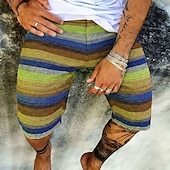 levne Geometrický tisk-Pánské Cikánský Barevná Proužky Tepláky Plážové šortky Terry šortky Středně vysoký pas Retro Denní Streetwear Dovolená Šňůrky Elastický pas 3D tisk Návrhář Oblečení