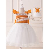 ieftine Costume pentru fete-Sirenă Prințesă Rochii Costum Cosplay Ținute Film Modă Drăguţ Fuste de balet for Fete Pentru copii Halloween Mascaradă Zilnic Performanță Concediu