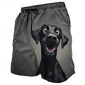 Voor heren Hond Gezichtsuitdrukking tekenfilm dieren Lange zwembroeken Badpakken Zwembroeken Boardshorts Medium Taille Hawaii Grappig Strandvakantie Zijzakken Mesh voering Elastische tailleband met