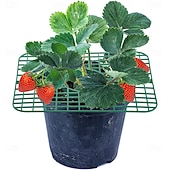 cheap Plant Care Accessories-10 Pcs Strawberry Plant Support Frames, Square Growing Racks and Stands, Keep Strawberry Fruits Clean and Elevated, Ideal for Garden Beds, Balcony, Greenhouse, Patio, or Indoor Planting, Easy Assembly