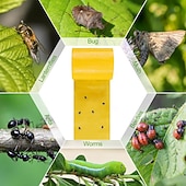 ieftine Gradinarit-Bandă adezivă pentru insecte târâtoare, 5 metri, pentru exterior, capcană lipicioasă galbenă, barieră lipicioasă, care protejează copacii, exterior, interior, pomi fructiferi, gazon, grădină,