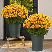 お買い得  造花-秋の造花菊10束、夕焼け菊、デイジーとユーカリの屋外用造花秋花、UV耐性、防水、防風、本物そっくりの満開植物、庭、ポーチ、パティオ用