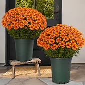 お買い得  造花-秋の造花菊10束、夕焼け菊、デイジーとユーカリの屋外用造花秋花、UV耐性、防水、防風、本物そっくりの満開植物、庭、ポーチ、パティオ用