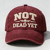 economico 250° Anniversario degli Stati Uniti-Cappellino da baseball ricamato dd-214, cappello vintage militare da papà "not dead yet" per uomo, twill di cotone regolabile, regalo patriottico per veterani, cappello casual per esterni