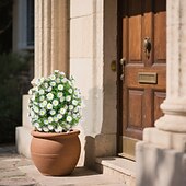 baratos Flor artificial-Estaca de crisântemo artificial branco de 56 cm (22 polegadas), topiaria de margarida artificial para casa, jardim e quintal. &amp;decoração de jardim, casamento &amp;Flores artificiais duráveis para festas,