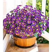abordables Flores artificiales-Margaritas artificiales para decoración exterior, 6 ramos de flores artificiales para macetas de exterior, flores de seda resistentes a los rayos UV para la puerta principal, el porche y el patio.