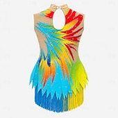 cheap Figure Skating Dresses-Figure Skating Dress Women's Girls' Ice Skating Dress Multi color Tassel Stretchy Training Competition Skating Wear Crystal / Rhinestone Sleeveless Ice Skating Figure Skating
