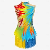 cheap Figure Skating Dresses-Figure Skating Dress Women's Girls' Ice Skating Dress Multi color Tassel Stretchy Training Competition Skating Wear Crystal / Rhinestone Sleeveless Ice Skating Figure Skating