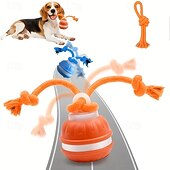 abordables Jouets interactifs-Balle interactive automatique pour chien, 2 couleurs, capteur de mouvement, rechargeable par USB, moteur silencieux haute vitesse, soulage l'anxiété de séparation, jeu intérieur/extérieur, jouet pour