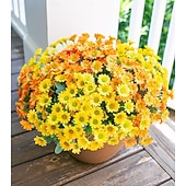  Margaritas artificiales para decoración exterior, 6 ramos de flores artificiales para macetas exteriores, flores de seda resistentes a los rayos UV para la puerta principal, el porche y el patio.