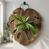 voordelige plantenbakken-Bevestigingsplank voor varens, zeshoekige houten ophangbasis met voorgeboorde gaten voor verticale tuinen, stevige plantenhouder van Chinees sparrenhout voor epifytische planten, wanddecoratie