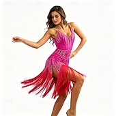 abordables vestido de competición-Latin Dance Dress Rhinestone Tassel Splicing Women's Party Performance Sleeveless Salsa Rumba Competition Costume