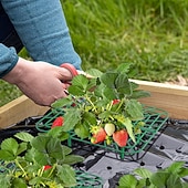 cheap Plant Care Accessories-10 Pcs Strawberry Plant Support Frames, Square Growing Racks and Stands, Keep Strawberry Fruits Clean and Elevated, Ideal for Garden Beds, Balcony, Greenhouse, Patio, or Indoor Planting, Easy Assembly