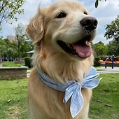 abordables Sombrero de sol-5 bufandas refrescantes universales de verano para mascotas, para perros. &amp;collar para el cuello del gato, toalla fría para la prevención del golpe de calor, anillo de hielo para el cuello para
