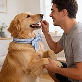 ieftine pălărie de soare-6 buc eșarfă răcoritoare universală de vară pentru animale de companie, pentru câini și pisici, eșarfă răcoritoare pentru prevenirea insolației fizice, eșarfă răcoritoare pentru gât în aer liber