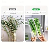 cheap Storage &amp; Organization-1/2/4 Pcs Durable Plastic Food Storage Box, Long Shaped Airtight Refrigerator Organizer, Sealed Fresh-Keeping Container, Practical Kitchen Supplies For Coriander, Green Onions, Mint Fresh Vegetables