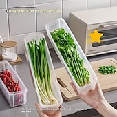halpa Keittiövälineet ja -laitteet-3 kpl läpinäkyviä ruohosipulin säilytysrasioita, vaihtolaatikoita vihreälle sipulille ja valkosipulille jääkaapissa, tuoreiden vihannesten säilytysrasioita - 25 cm / 9,84 tuuman