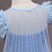 baratos Fantasias para meninas-Semana do Livro 2026 Rainha da Neve Gelado Princesa Elsa Vestidos Capa Vestido da menina de flor Fantasias Festa a fantasia for Para Meninas Crianças Natal Dia da Criança Baile de Máscaras Casamento