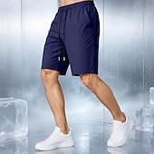 cheap Casual Shorts-Men's Comfort Waist Quick-dry Shorts Active Shorts Casual Shorts Pocket Elastic Waist Plain Solid Color Plain Solid Quick Dry Sports Knee Length Casual Outdoor Training Sports Sport Blue Black
