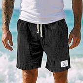 abordables Día festivo-Hombre Pantalón corto Pantalones cortos de verano Pantalones cortos de playa Pantalones cortos casuales Correa Cintura elástica Color sólido Con Texturas Comodidad Longitud de la rodilla Diario