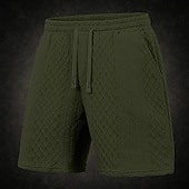 abordables Bermudas estilo casual-Hombre Pantalón corto Pantalones cortos de verano Pantalones cortos casuales Jacquard Con Texturas Plano Comodidad Transpirable Sobre la Rodilla Casual Exterior Playa Vacaciones Moda Blanco Caqui
