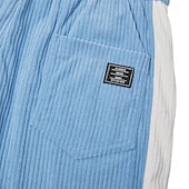 cheap Casual Shorts-Men's Shorts Casual Shorts Corduroy Shorts Textured Shorts Patchwork Color Block Plain Solid Comfort Breathable Knee Length Casual Outdoor Beach Vacation Fashion Black Green Inelastic