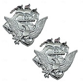  2-pack metallbilemblem för amerikanska flottan 250-årsjubileum, 3D-klistermärke med skallig örn, patriotisk militär bildekal, kromad metallkarossdekoration för bil, lastbil, SUV, veteranpresent