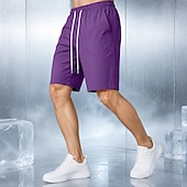 cheap Casual Shorts-Men's Comfort Waist Quick-dry Shorts Active Shorts Casual Shorts Pocket Elastic Waist Plain Solid Color Plain Solid Quick Dry Sports Knee Length Casual Outdoor Training Sports Sport Blue Black