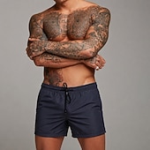 ieftine Pantaloni scurți de baie pentru bărbați-Bărbați Pantaloni scurti de atletism Pantaloni scurți de 3 inch Pantaloni scurți de antrenament Pantaloni scurti Pantaloni scurți de alergare cu căptușeală din plasă Buzunar cu Fermoar Design Elastic