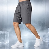 cheap Casual Shorts-Men's Comfort Waist Quick-dry Shorts Active Shorts Casual Shorts Pocket Elastic Waist Plain Solid Color Plain Solid Quick Dry Sports Knee Length Casual Outdoor Training Sports Sport Blue Black