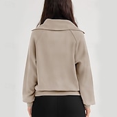  Mulheres Moletons Patchwork Quarter Zip Côr Sólida Casual Manga Longa Lapela Casual Ao ar livre Azul Branco Cáqui Preto Rosa Outono Inverno