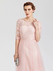 cheap Evening Dresses-A-Line Elegant Dress Wedding Guest Formal Evening Floor Length Illusion Neck Lace Over Tulle with Lace Insert Appliques 2024