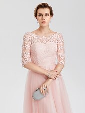 cheap Evening Dresses-A-Line Elegant Dress Wedding Guest Formal Evening Floor Length Illusion Neck Lace Over Tulle with Lace Insert Appliques 2024