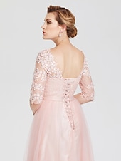 cheap Evening Dresses-A-Line Elegant Dress Wedding Guest Formal Evening Floor Length Illusion Neck Lace Over Tulle with Lace Insert Appliques 2024