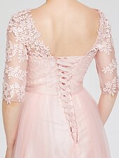 cheap Evening Dresses-A-Line Elegant Dress Wedding Guest Formal Evening Floor Length Illusion Neck Lace Over Tulle with Lace Insert Appliques 2024