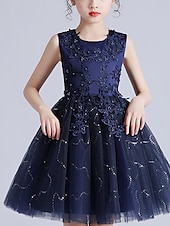 levne Dívčí květinové šaty-Děti Dívčí Květinové dívčí šaty Šaty Květiny Bez rukávů Svatební Párty Flitry Princeznovské Sladký Polyester Délka ke kolenům Květinové dívčí šaty Léto 3-12 let Bílá Světlá růžová Námořnická modř